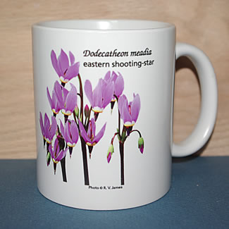 mug DS-122 6666.jpg